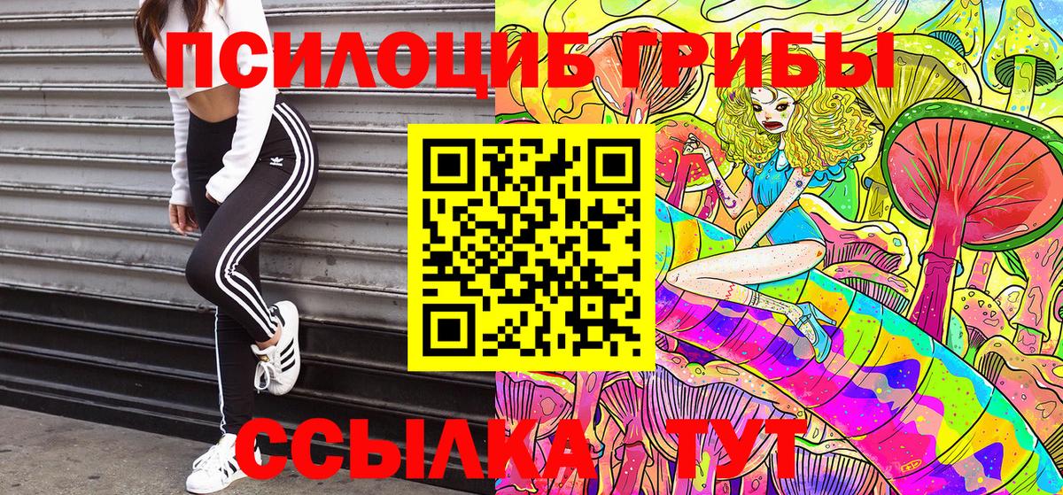 Ишимбай  Псилоцибиновые грибы Psilocybine cubensis  Вход с VPN  Галлюциногенные грибы MAGIC MUSHROOMS 